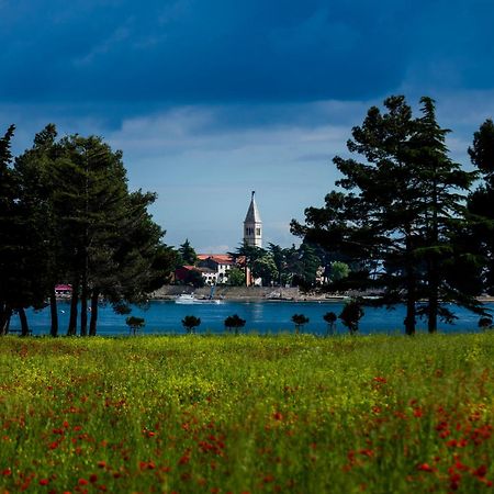 Belvedere Holidays Villas Novigrad  Exterior photo